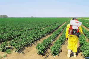 Обприскувач бензиновий ранцевий SOLO 423 - картинка №3 Фото №3 - Обприскувач бензиновий ранцевий SOLO 423