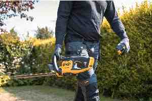 Фото №6 - Кущоріз акумуляторний DeWALT DCMHT562P1