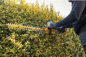 Фото №8 - Кущоріз акумуляторний DeWALT DCMHT562P1