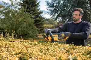 Фото №10 - Кущоріз акумуляторний DeWALT DCMHT562P1