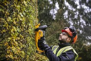 Фото №5 - Кущоріз акумуляторний DeWALT DCMHT563P1