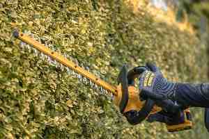 Фото №10 - Кущоріз акумуляторний DeWALT DCMHT564N