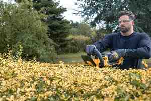 Фото №11 - Кущоріз акумуляторний DeWALT DCMHT564N