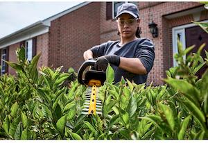 Фото №11 - Кущоріз акумуляторний безщітковий DeWALT DCMHT573X1