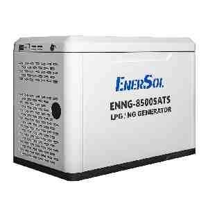 Фото №3 - Генератор газовий EnerSol ENNG-8500SATS