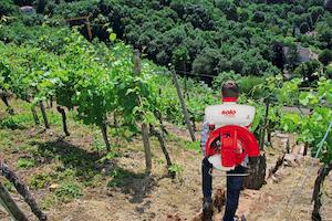 Фото №2 - Обприскувач бензиновий ранцевий SOLO MASTER452