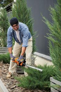 Фото №13 - Кущоріз акумуляторний SEQUOIA SBHT2020T