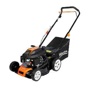 Фото - Газонокосарка бензинова SEQUOIA SPLM4000