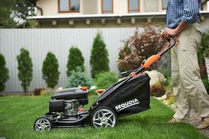 Газонокосарка бензинова SEQUOIA SPLM4600 - картинка №19 Фото №19 - Газонокосарка бензинова SEQUOIA SPLM4600