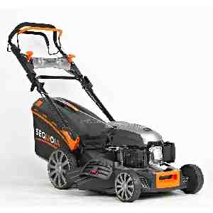 Фото - Газонокосилка бензинова SEQUOIA SPLM5300S