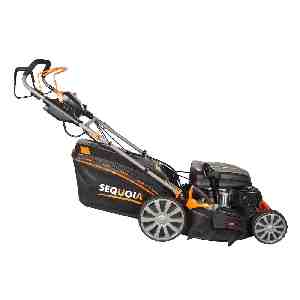 Газонокосарка бензинова самохідна SEQUOIA SPLM5300SVE - картинка №2 Фото №2 - Газонокосарка бензинова самохідна SEQUOIA SPLM5300SVE